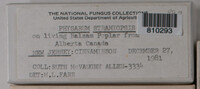 Image Associated With the Occurence
